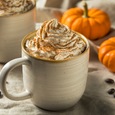 Pumpkin Spice Coffee - 10 oz Bag