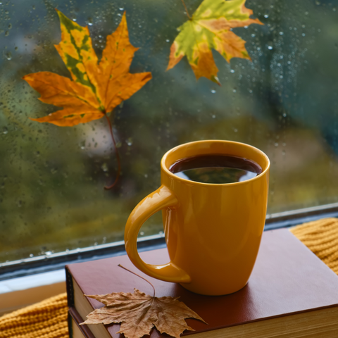 Fall Favorites