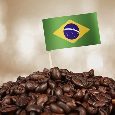 Brazilian Bourbon Santos Coffee - 10 ounce bag