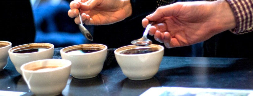 Coffee Cupping For Pleasure