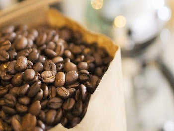 What is The Best Way to Store Coffee?