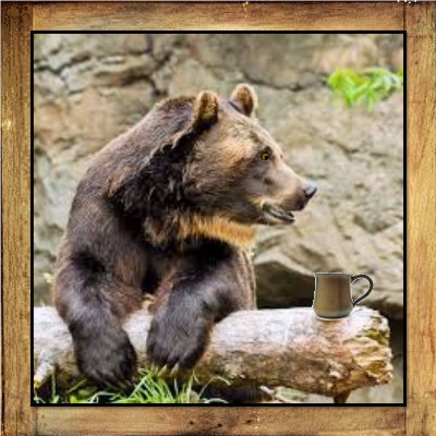 Big Bear Blend Camp Coffee (Organic) - 10 oz Bag