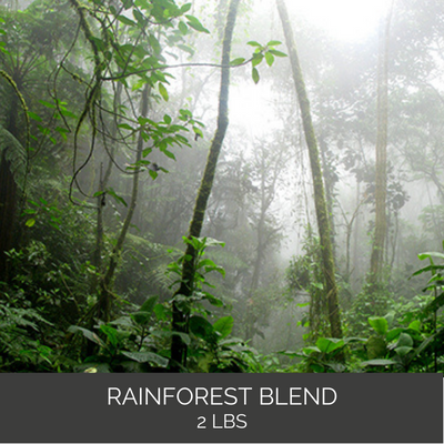 Rainforest Blend Coffee - 2 pound bag