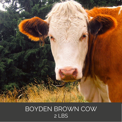 Boyden's Brown Cow Coffee - 2 pound bag