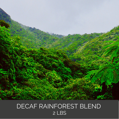 S.W.P. Decaf Rainforest Blend Coffee- 2 LB Bag