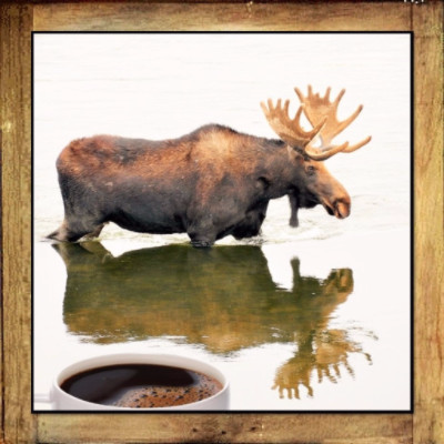 Camp Coffee - Moose Mud Coffee - 10 oz - Flavored Coffee - Brown & Jenkins - The Vermont Coffee Roasters 